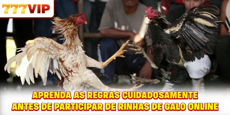 Algumas vantagens que tornam as rinhas de galo online atraentes