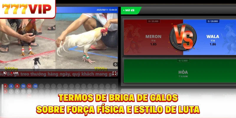 Termos de briga de galos sobre força física e estilo de luta