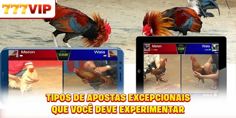 Tipos de apostas excepcionais que você deve experimentar